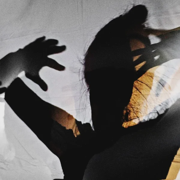 theater-der-schatten-workshop-expressiv