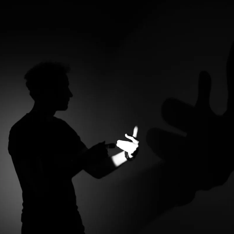 Performer erzeugt mit Händen und Licht eine Tierfigur als Schatten – Schattenspiel-Workshop Theater der Schatten Bamberg